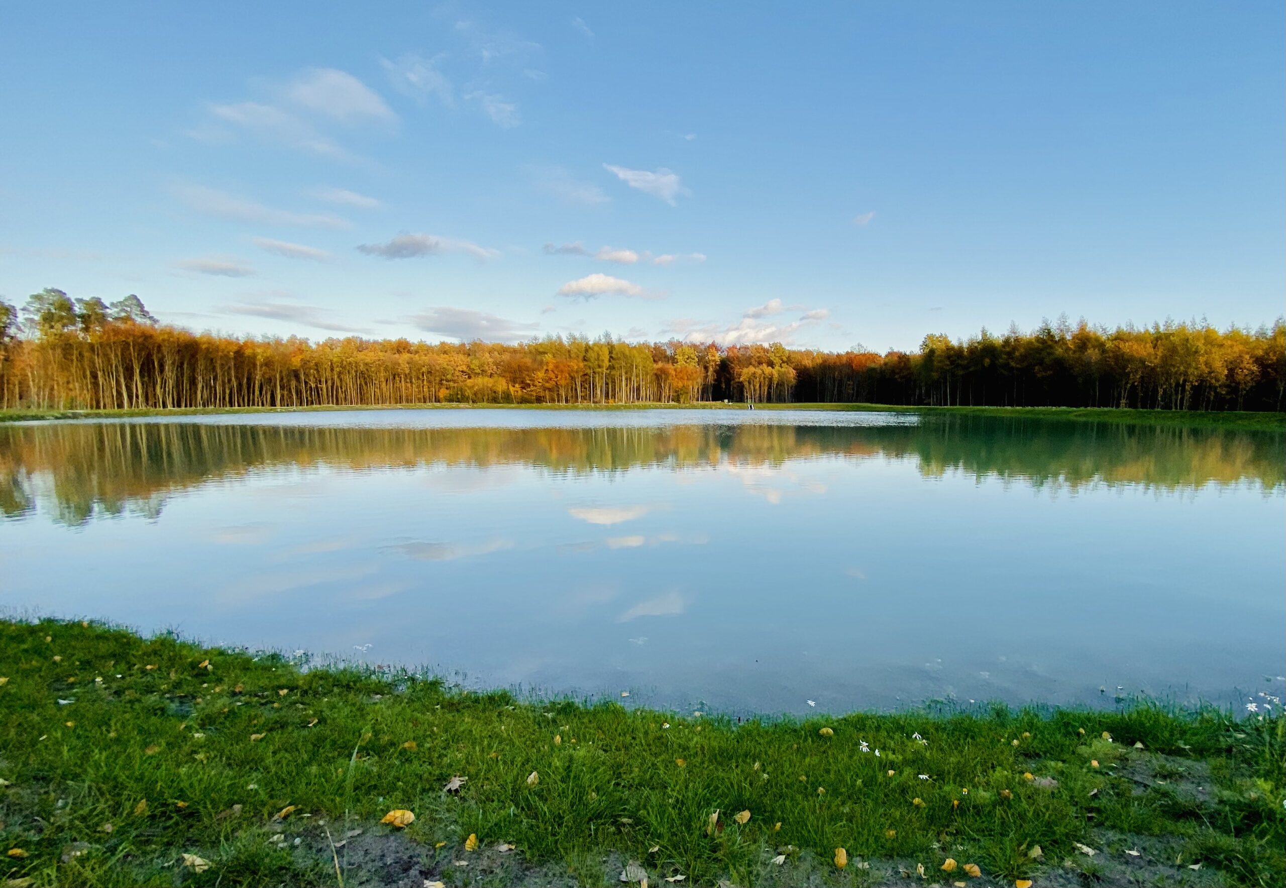 How Holcim will nurture nature at 800 limestone quarries