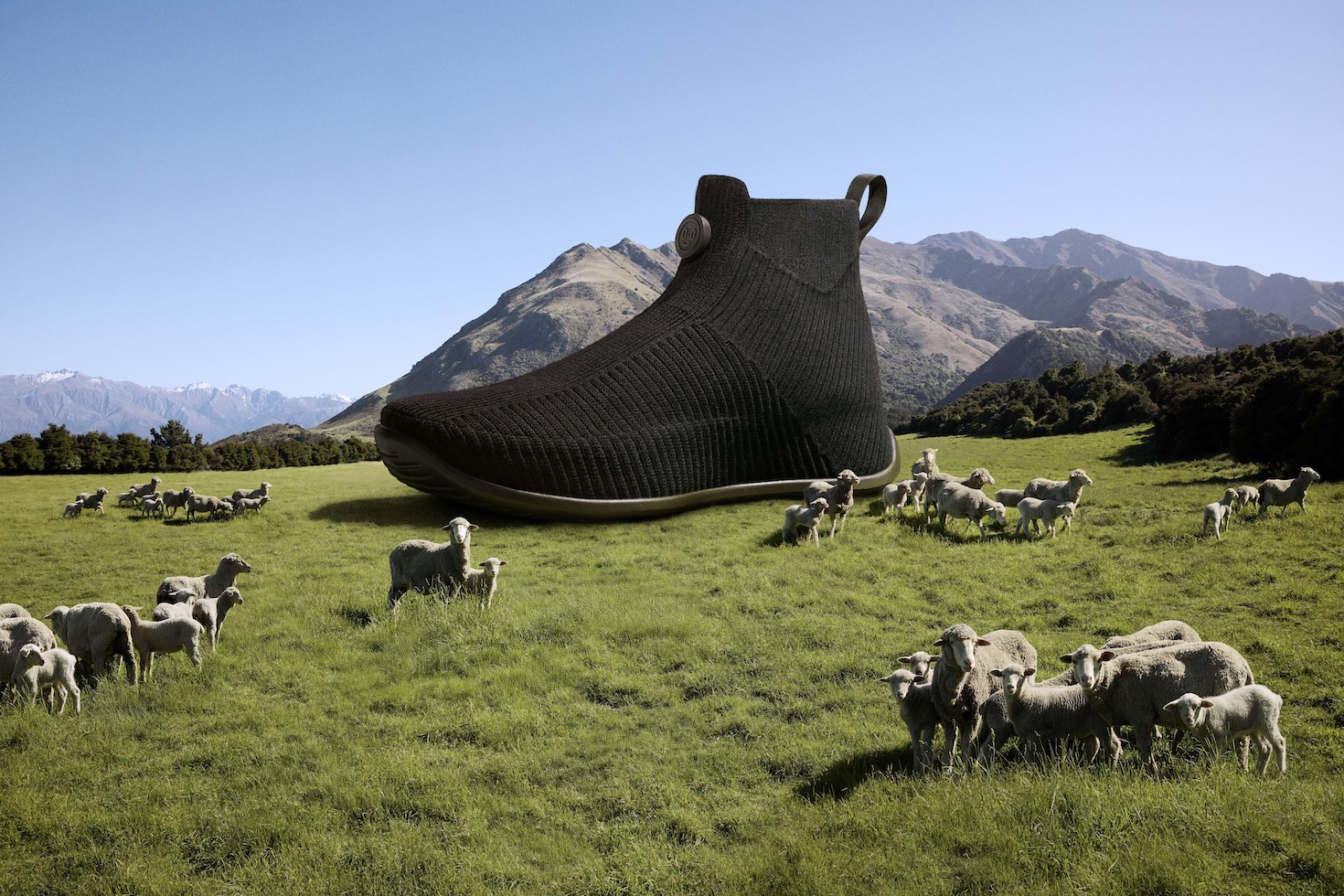 Inside Allbirds’ net-zero shoe declare