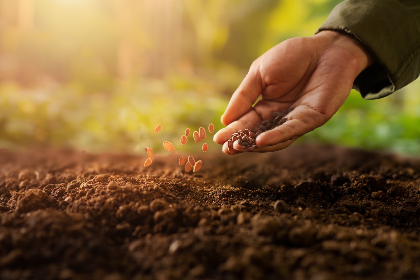 How Aviva’s first nature method lead is integrating biodiversity all through the company’s sustainability program