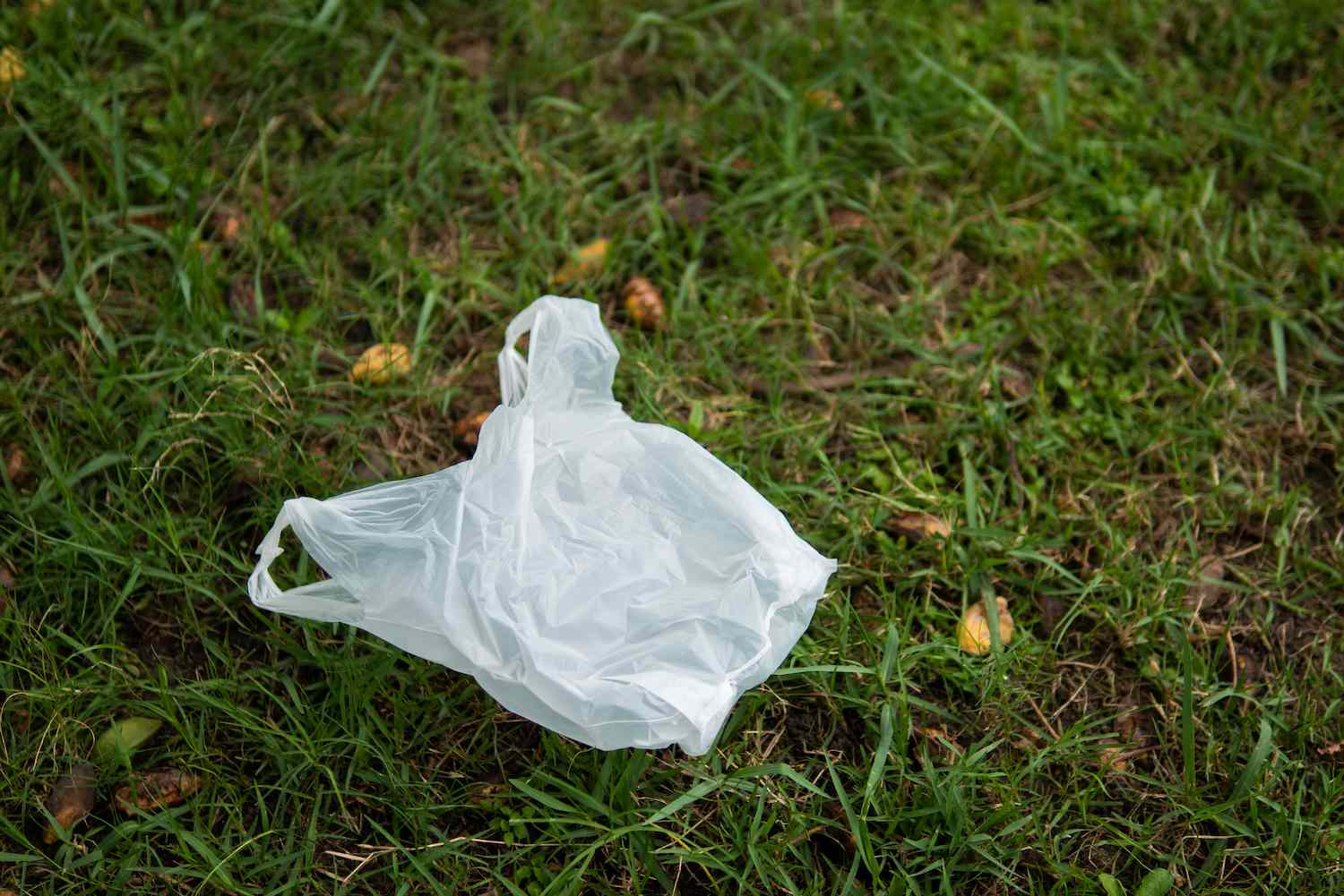 Must Cities Throw Away Plastic Bag Bans? It’s Tough